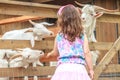 Young happy young girl feeding goat on farm Royalty Free Stock Photo