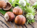 Young hazelnuts and ripe brown hazelnuts