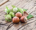 Young hazelnuts and ripe brown hazelnuts.