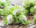 Young hazelnuts on the wooden table