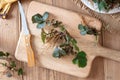 Young Herb Bennet plants with roots, top view Royalty Free Stock Photo