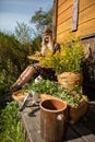 The young herbalist pours the stripped goldenrod flowers into a basket.