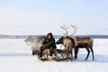 Among the young herders of the Yamal tundra