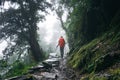 Young hiker traveling across hazy mountain forest. Man tourist walk by foggy rocky track wearing backpack