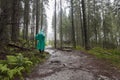 Young Hiker wearing green raincoat walking on Tatry forest path