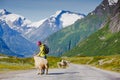 Young hipster female traveler on road Royalty Free Stock Photo