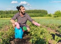 Young hipster male in gloves with a watering can caring for plants potatoes in the garden