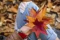 Young hipster woman is sitting among autumn leaves. Royalty Free Stock Photo