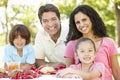 Young Hispanic Family Enjoying Picnic In Park Royalty Free Stock Photo