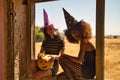 Young Hispanic and Latina women in witches` hats sitting in a window frame with a Halloween pumpkin in their hands