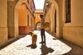 Young Hispanic man with beard and sunglasses with his dog holding on to the leash walking along a sunny street at sunset. Concept Royalty Free Stock Photo