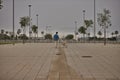 Young Hispanic man, walking his dog on the street in solitude seen from the back. Concept, dogs, pets, animals, friends