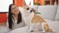 Young hispanic woman with chihuahua dog sitting on the floor brushing dog hair at home Royalty Free Stock Photo