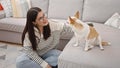 Young hispanic woman with chihuahua dog sitting on the floor brushing dog hair at home Royalty Free Stock Photo