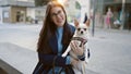 Young hispanic woman with chihuahua dog smiling confident sitting on a bench at street Royalty Free Stock Photo