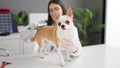 Young hispanic woman with chihuahua dog veterinarian brushing dog hair at veterinary clinic Royalty Free Stock Photo