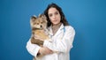 Young hispanic woman with dog veterinarian hugging with relaxed expression over isolated blue background Royalty Free Stock Photo