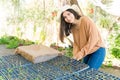 Farmer With Seedlings Tray At Vegetable Garden