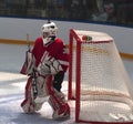 Young Hockey Players