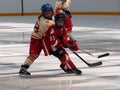 Young Hockey Players