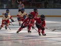 Young Hockey Players