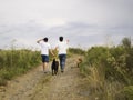 Young homosexual couple walking by the hand with two dogs