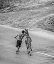 Young horse with his trainer