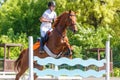 Young horse rider girl jumping on show jumping Royalty Free Stock Photo