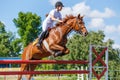 Young horse rider girl jumping on show jumping Royalty Free Stock Photo