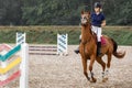 Young horse rider girl restraining a horse on show jumping course in equestrian sports competition