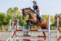 Young horse rider girl on show jumping competition Royalty Free Stock Photo