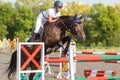 Young horse rider girl on show jumping competition Royalty Free Stock Photo