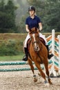 Young horse rider girl on show jumping course in equestrian sports competition. Vertical photo Royalty Free Stock Photo