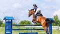 Horse rider woman on show jumping competition Royalty Free Stock Photo