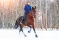 Young horseback girl walking on field in winter Royalty Free Stock Photo