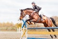Young horseback sportsgirl jumping on show jumping