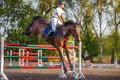 Young horseback woman landing after bounding over the obstacle on her course