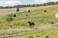 Young horseman gallop across the Starishora mountain valley, Ukraine.
