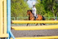 Young horserider woman approaching her obstacle in showjumping competition