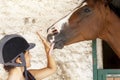 Young horsewoman with its horses in the stable Royalty Free Stock Photo