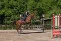 Young horsewoman is jumping at equestrian race