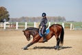 Young horsewoman riding on brown horse in paddok outdoors, copy space. Royalty Free Stock Photo