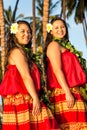 Young hula dancers Royalty Free Stock Photo