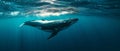 Generative AI Illustration A young Humpback whale swims in the clear blue waters of the Caribbean Sea Royalty Free Stock Photo