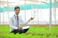 Young Indian agronomist holding small plant in hand and collecting some information at greenhouse