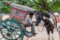A young Indian boy sitting in a horse cart at the tourist site of the Vellore Fort