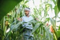 young indian farmer at corn field. Royalty Free Stock Photo