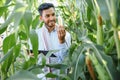 young indian farmer at corn field. Royalty Free Stock Photo