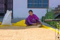 Young Indian Woman bagging Rice