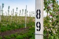 Young industrial apple orchard blossoms machinery driveway